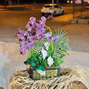 Seramik Vazolu Mor Orkide Yapay Aranjmanı