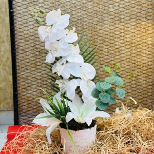 Beyaz Yapay Orkideli Seramik Vazolu Aranjman