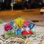 Dikdörtgen Orta Boy Teraryum