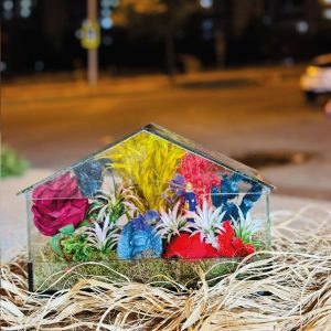 Dikdörtgen Orta Boy Teraryum