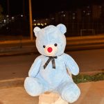 Açık Mavi Ayıcık 80 cm