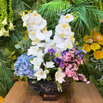 Orkide ve Ortanca Aranjmanı – Lüks Dekoratif Çiçek